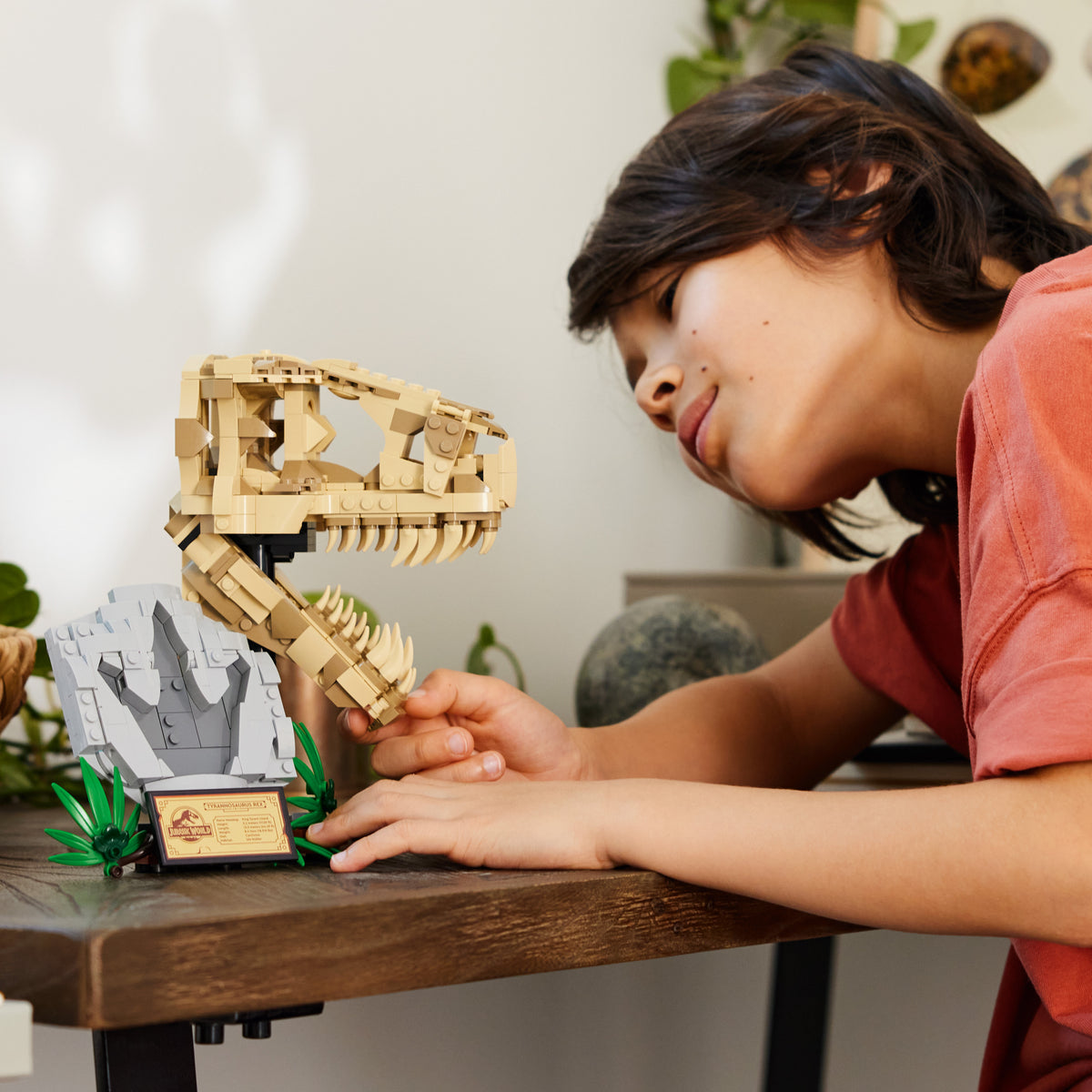 LEGO Jurassic World 76964 Dinosaurier-Fossilien: T.-rex-Kopf