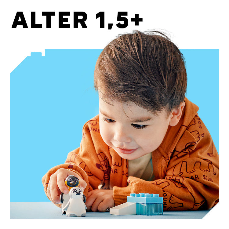 ab 1.5+ Jahren