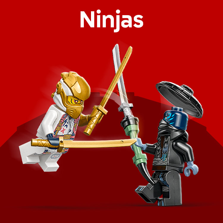 Für Ninjas