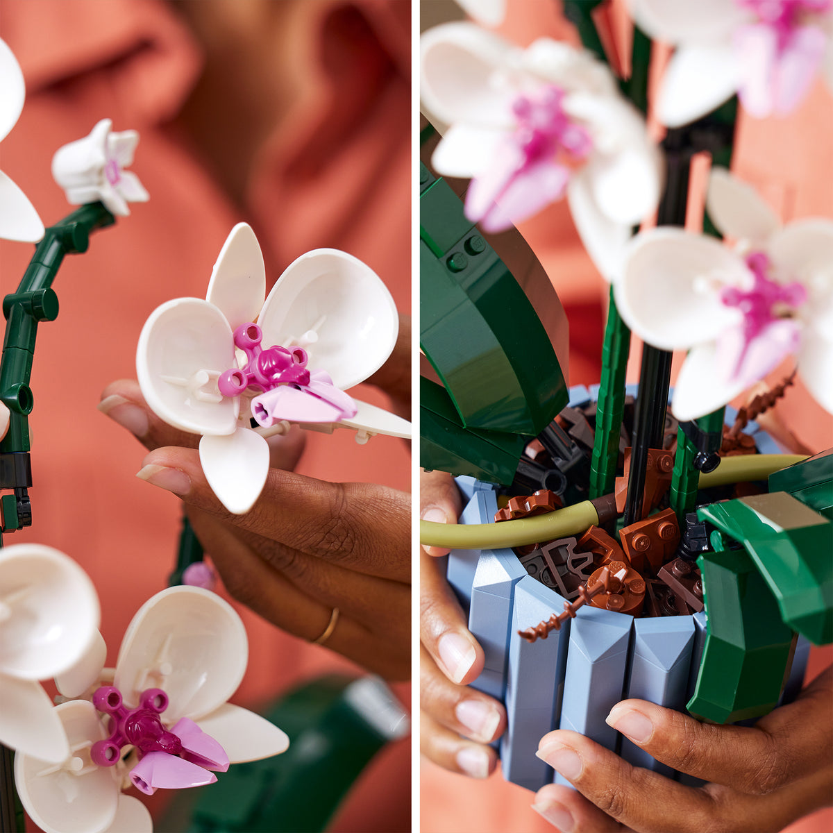 LEGO Botanicals 10311 Orchidee