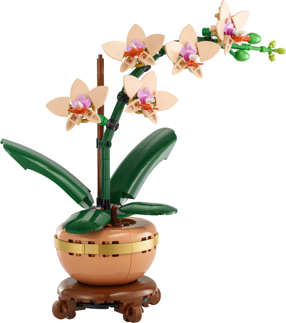 LEGO Botanicals 10343 Mini-Orchidee