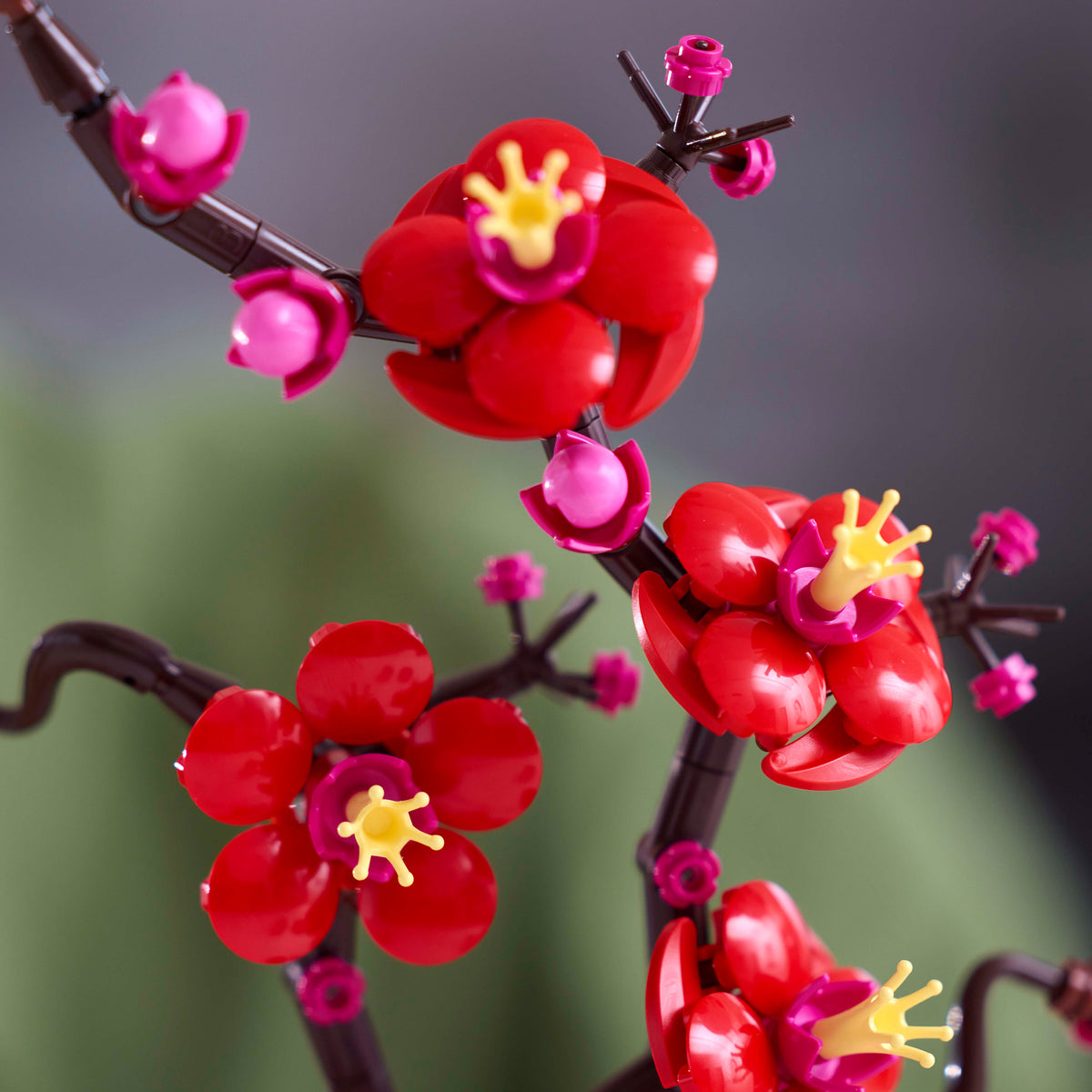 LEGO Botanicals 10369 Pflaumenblüte