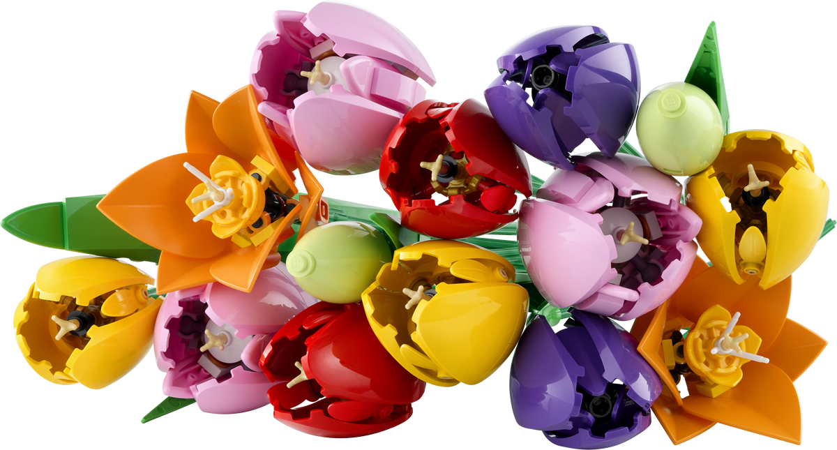 LEGO Botanicals 11501 Tulpenstrauß