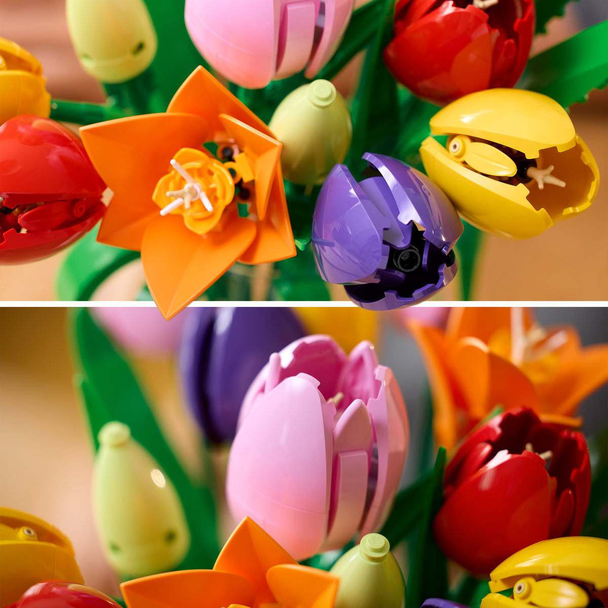 LEGO Botanicals 11501 Tulpenstrauß