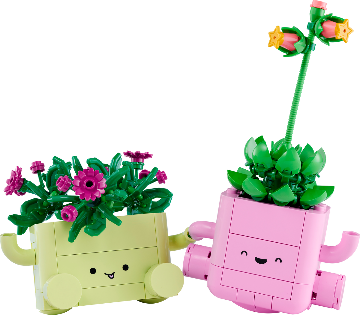 LEGO Botanicals 11506 Schaukelnde Pflanzen