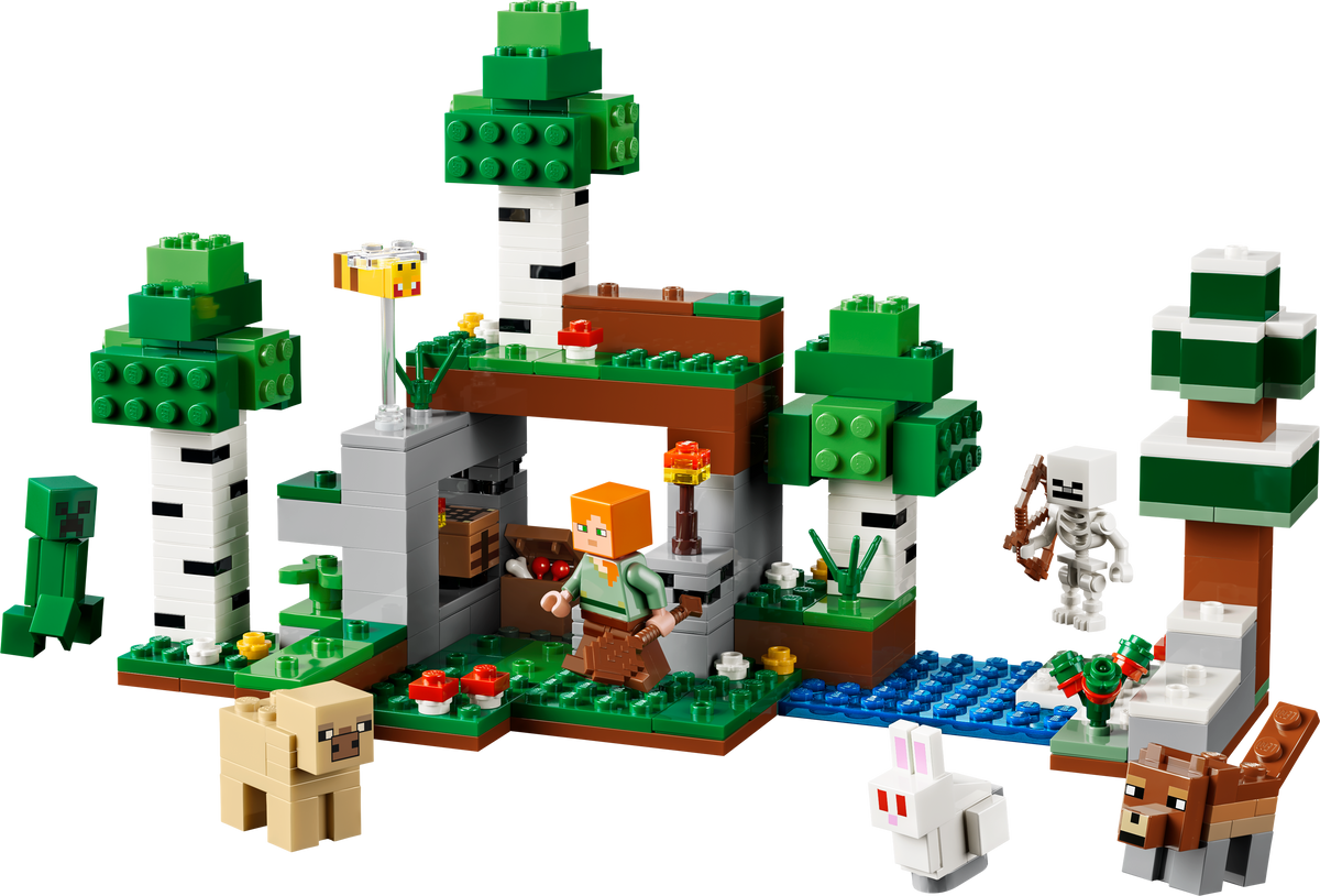 LEGO Minecraft 21593 Erstes Abenteuer in der Nacht