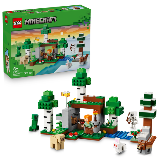 LEGO Minecraft 21593 Erstes Abenteuer in der Nacht