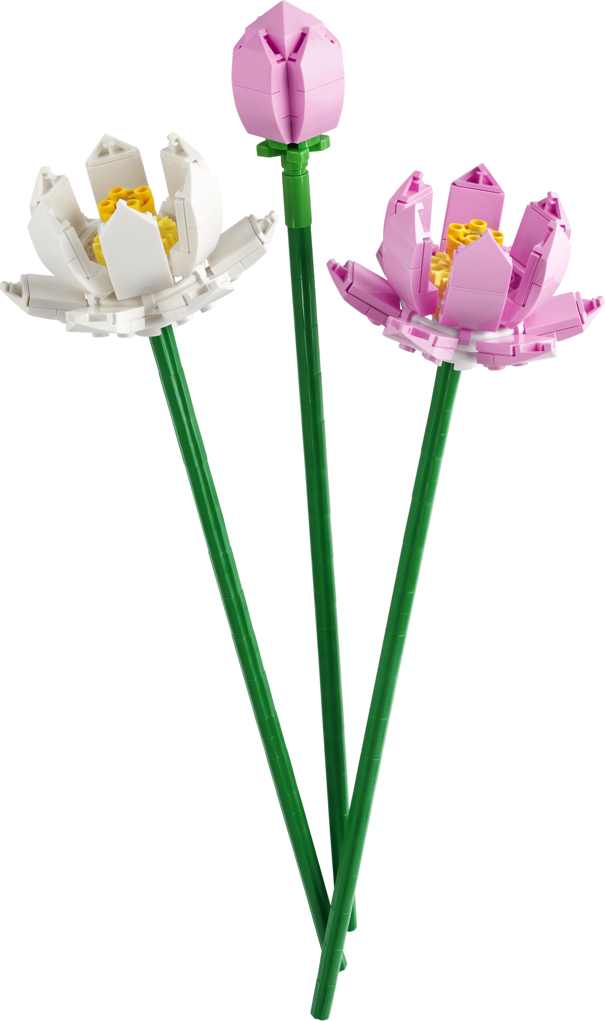 LEGO Botanicals 40647 Lotusblumen