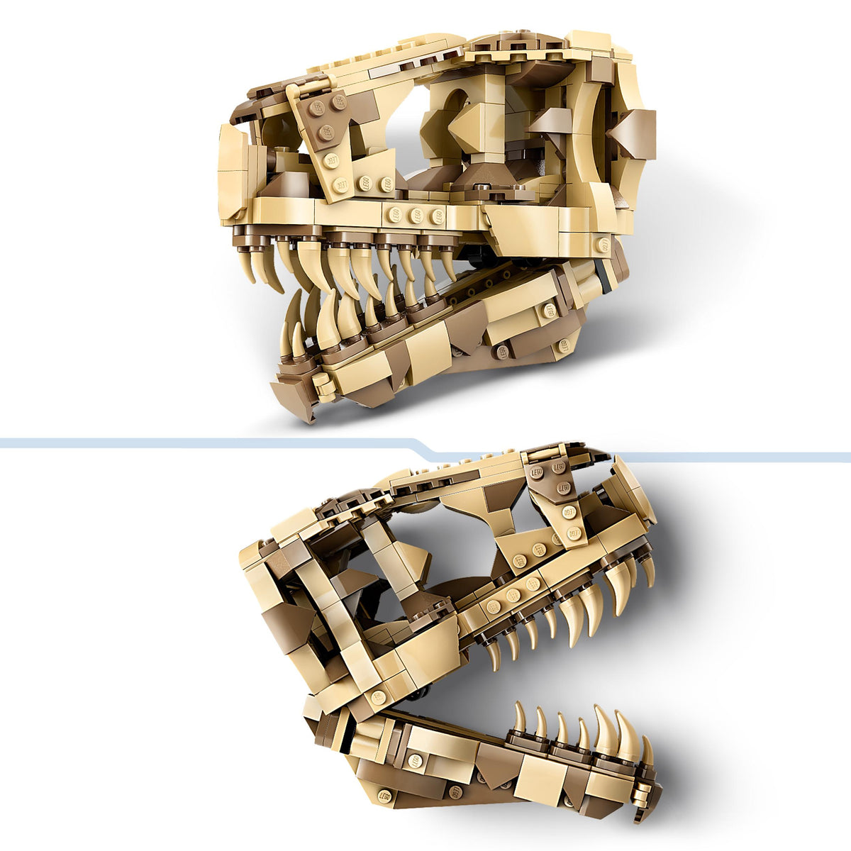 LEGO Jurassic World 76964 Dinosaurier-Fossilien: T.-rex-Kopf