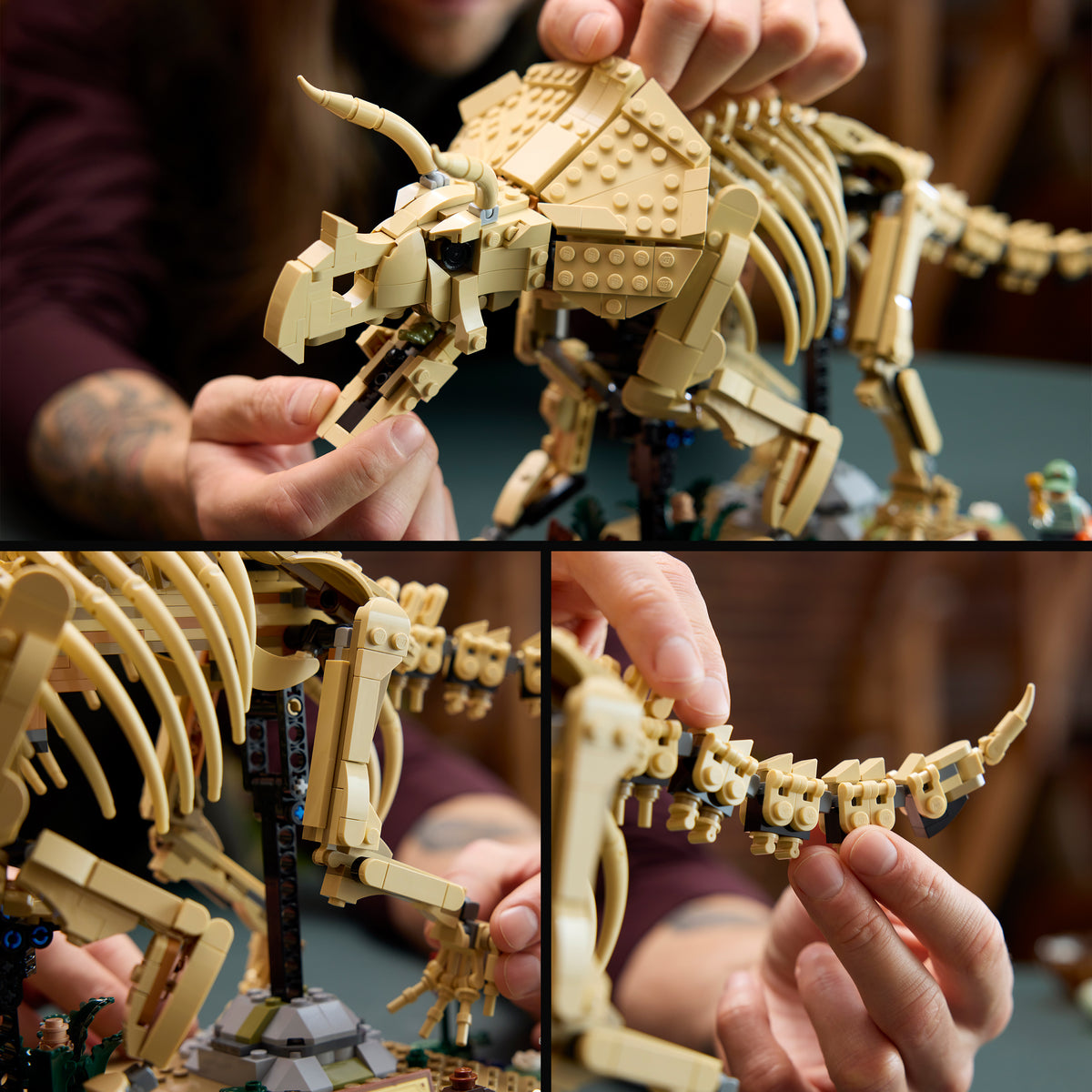 LEGO Jurassic World 77985 Dinosaurier-Fossilien: Triceratops
