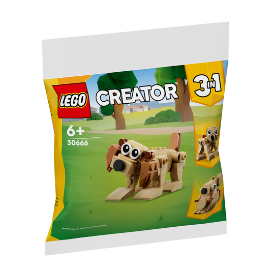 LEGO Polybag 30666 Geschenkset mit Tieren